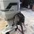 1989 Mercury 100hp2 stroke outboard 1 thumbnail