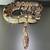 Ball Python (Male) 2 thumbnail