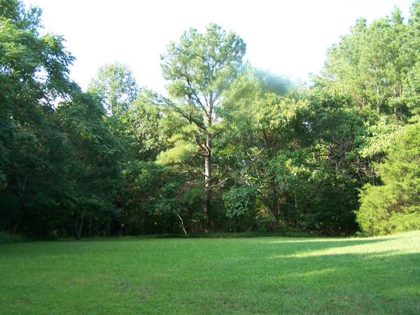 $1,300 / 3br - 1560ft2 - EN ALQUILER - 1030 Stormcrest Road, Rustburg, VA (Rustburg)63851966964737122
