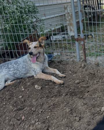 Sweet female 1