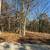 3 Acres For Sale! 22 thumbnail