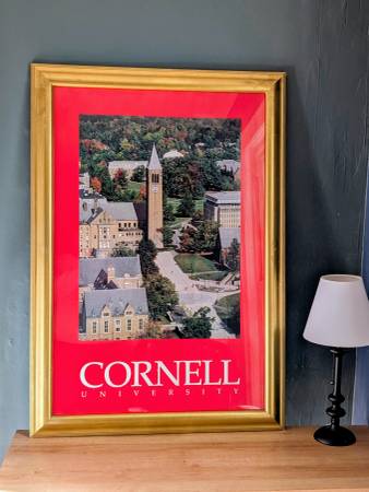 Large Cornell framed poster 1