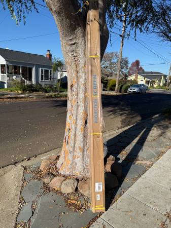 Projector screen, motorized, 120" 1