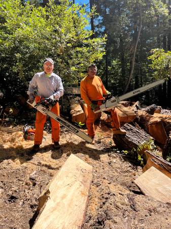 TREE  REMOVE & CLEAN UP SERVICES EAST BAY 1