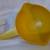 Set of 2 Yellow Plastic 1 qt/2 qt Tupperware Sieves 7 thumbnail