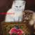 RARE OIL PAINTING of KITTENS, BUTTERFLY, ROSES, BASKET, 1938 2 thumbnail