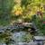 Cozy Studio In Wonderful Nature Setting 4 Minutes From Downtown Felton 10 thumbnail