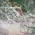 Talmage, Utah Land for Sale 2 thumbnail