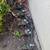 Irrigation,sprinkler,drip systems install and repair 6 thumbnail