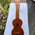 ⭐️UKULELES VINTAGE HAWAIIAN AND MARTIN 17 thumbnail
