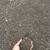 NEW ROADS NEW DRIVEWAYS CILVERTS HOUSE PADS 5 thumbnail