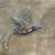 Vintage Sarah Coventry Bird of Paradise Brooch Pin 1 thumbnail