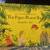 First Edition Dr. Seuss Books (and others) 9 thumbnail