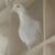 Pigeons 4 thumbnail