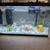 Aquarium 2 thumbnail