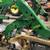 John Deere 3520 tractor, mower, snowblower and loader 14 thumbnail