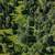 1.03 Acre lot 2 thumbnail