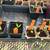 Pumpkins, Melons, Peppers, Blackberry Plants 8 thumbnail