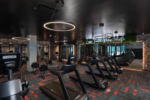 Walk-In Closets, Elevators, Full-Sized Washer & Dryer 1