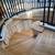 4 Beds/3 Baths Dome House with Forest View 15 thumbnail