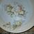 Vintage PM Bavaria Porcelain Bowl, Rose Floral, 9" 3 thumbnail