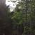 Gulf Island Retreat - Like-new cabin on 3 acres with room to develop 20 thumbnail