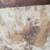 Rare Early Painting of a Nobleman and Woman. Circa Late 1700's-1800's 19 thumbnail