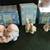 Vintage Precious Moments Noah’s Ark two by two 8 pieces set 8 thumbnail