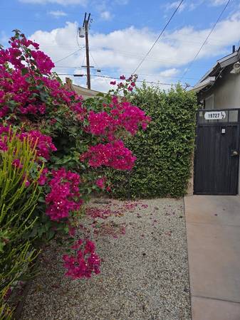 $1,960 / 1br - 500ft2 - Unidad individual para una o dos personas (Winnetka)63700996432643120