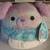 Squishmallows 8 Inch Bashira Dog 1 thumbnail