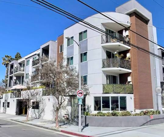 1 Magical Magnolia 1