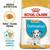 Dalmatian Puppy Food 1 thumbnail