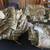 Military Army Air Force Cargo Pants brand new with tags camouflage OCP 1 thumbnail