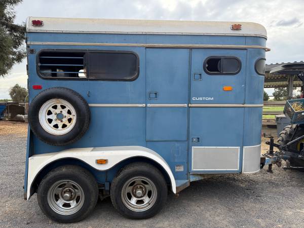 2 Horse Bumper pull 1