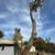 DIVINO LANDSCAPING AND TREE SERVICES 21 thumbnail