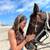 Breathtaking &Affordable Oceanfront Condo in Rosarito Vacation Getaway 23 thumbnail