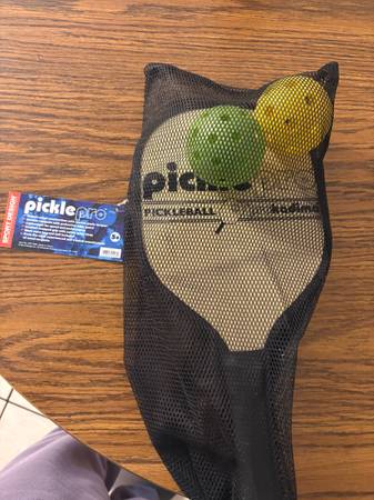 Pickleball pro paddles and balls 1