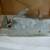 2 Trailer hitches, DICO model 60 actuator, Atwood 1493 3 thumbnail