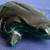 Polished Dark Malachite Carved Frog is 3-3/4"x2-1/2"x1"tall....More 4 thumbnail