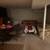 Basement for rent 14 thumbnail