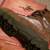 NIB Win Proline boots Oak Ridge men's sz 8 camo Realtree Xtra 2 thumbnail