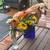 House Sitter/Pet Sitter/DogWalker (Optional Room avail in x for svces) 11 thumbnail