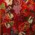 Vivienne Tam Year of the Rabbit 2023 New Years Scarf 3 thumbnail