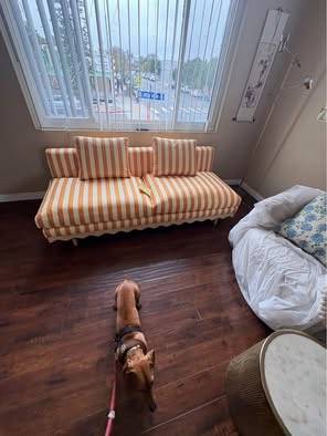 REDECORATING SALE 1