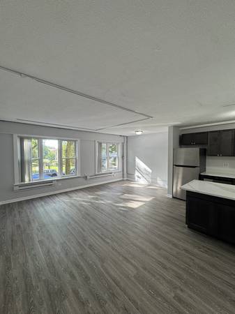 $1,450 / 1br - Rogers Park Remodeled 1 bedroom (Rogers Park)64041809421954120