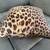 DOWN-FILLED  VELVET PILLOW .  POTTERY BARN 1 thumbnail