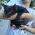 Kittens 4 thumbnail