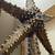 2 table lamps. Starfish coastal nautical beach sculpture art decor 22 thumbnail