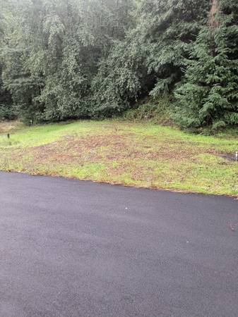 RV Space Full Hookups 1