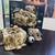LEGO Star Wars Mos Eisley Cantina 75290 complete with minifigures, box 1 thumbnail